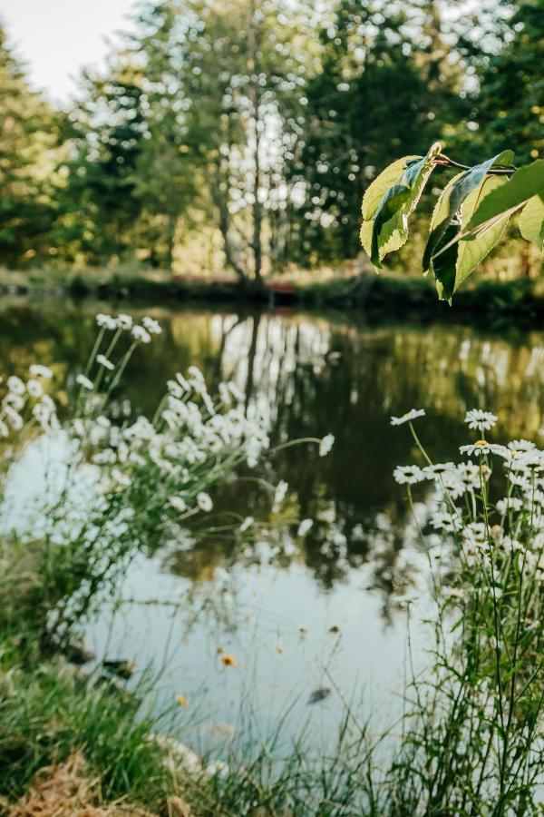 Healing Ponds Farm Villa Buxton Ngoại thất bức ảnh